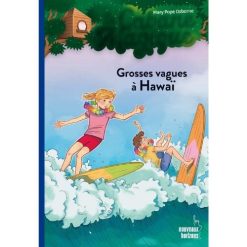 Grosses vagues à Hawaï